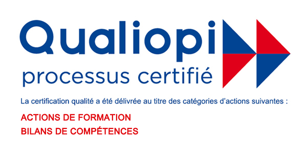 bilan de compétences en ligne