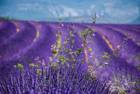 bilan de compétences aix en provence